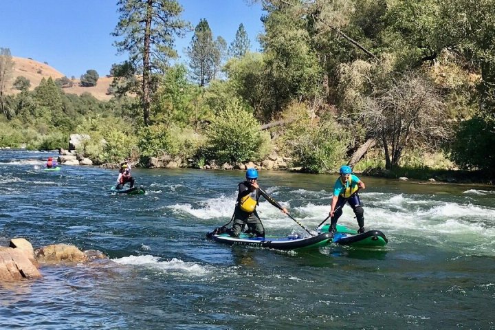 a group of people riding skis on a body of water